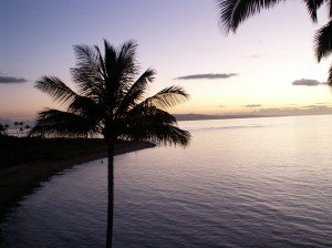 Auto Transport – The Hawaiian Islands