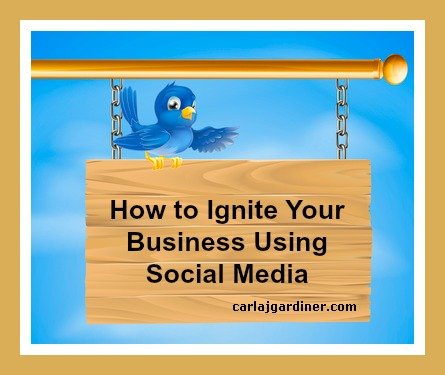 How to Ignite Your Business Using Social Media and Attraction Marketing