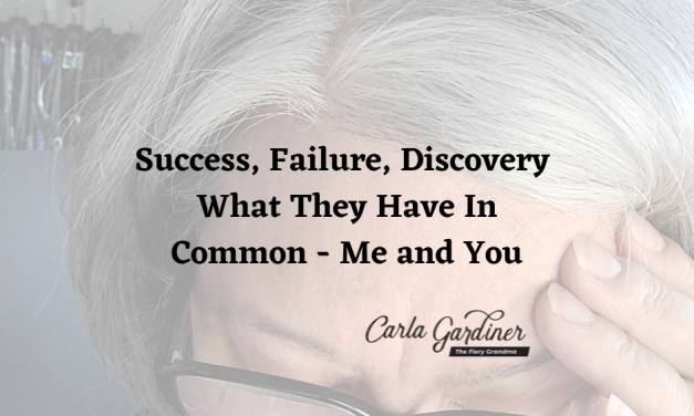 Success, Failure, Discovery – What They Have In Common – Me and You